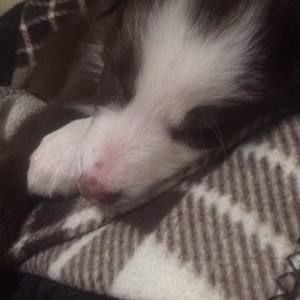 Meet your Posher, Marie-lawrence